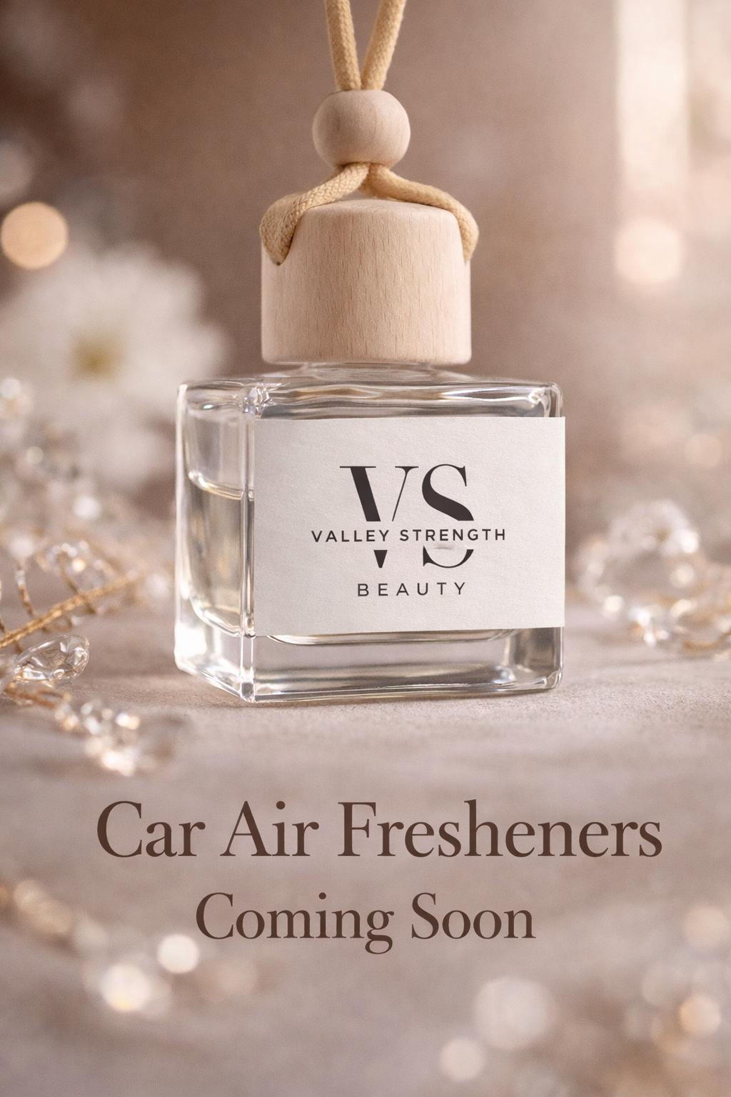 Luxury Car Air Fresheners (Coming Soon)